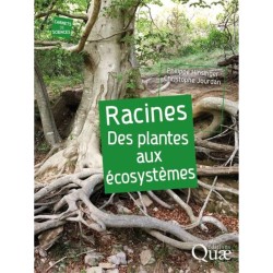 80 clés pour comprenRacines - Des plantes aux écosystèmesdre les sols