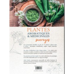 Plantes aromatiques & médicinales du jardin