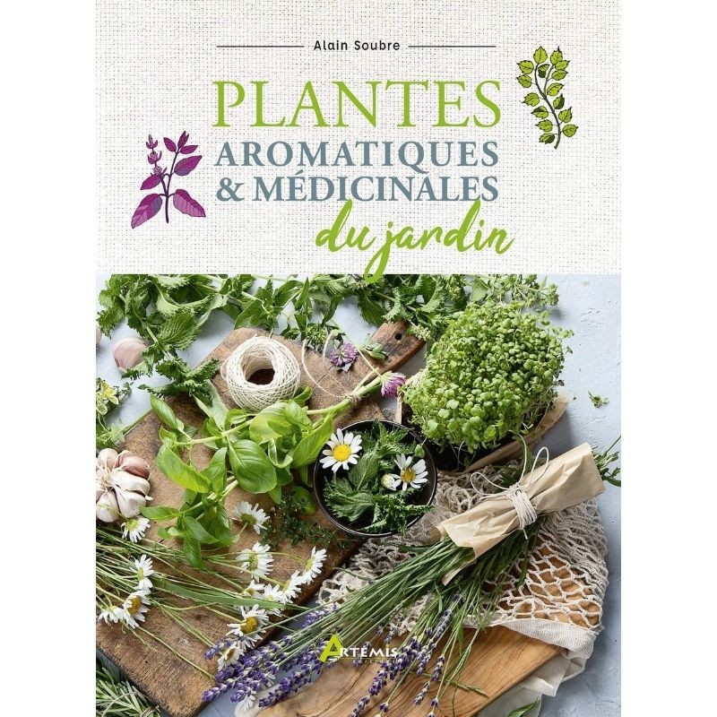 Plantes aromatiques & médicinales du jardin