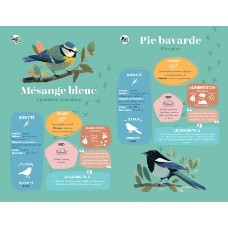 Mes 24 plus beaux chants d'oiseaux du jardin - Livre sonore