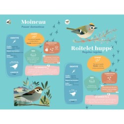 Mes 24 plus beaux chants d'oiseaux du jardin - Livre sonore