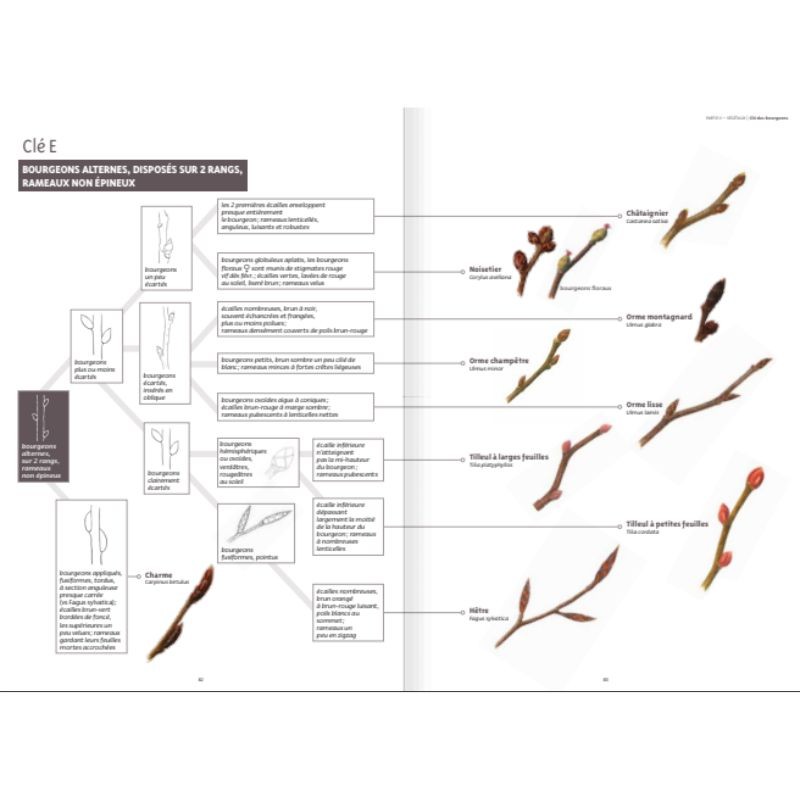 Le grand guide de la nature