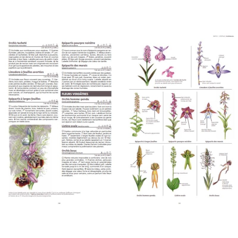 Le grand guide de la nature