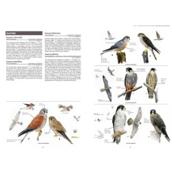 Le grand guide de la nature