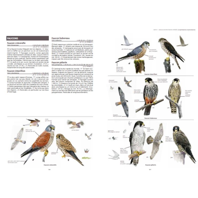 Le grand guide de la nature