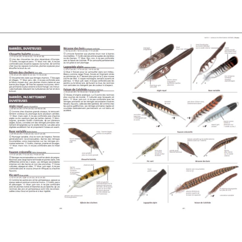 Le grand guide de la nature