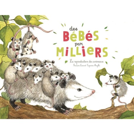 Des bébés par milliers - La reproduction des animaux
