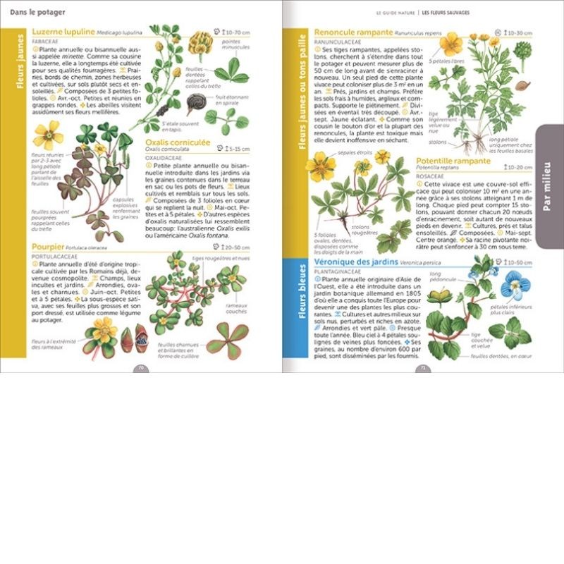 Le petit guide des fleurs comestibles : 70 espèces à découvrir et à  déguster