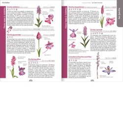 Le guide nature - Les fleurs sauvages Le guide nature - Les fleurs sauvages