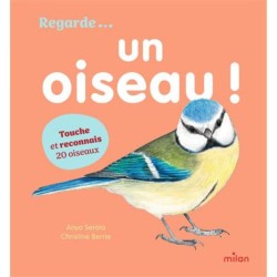 Regarde... Un oiseau !