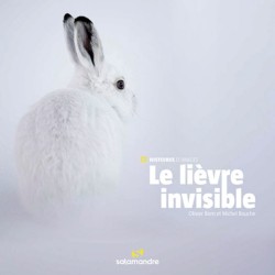 Le lièvre invisible