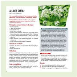 Cueillir et cuisiner les plantes sauvages en famille