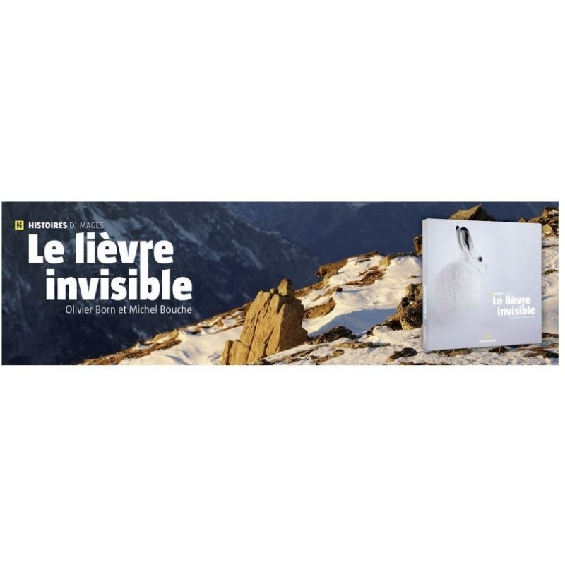 Le lièvre invisible Le lièvre invisible