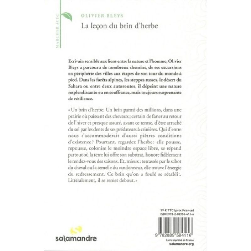La leçon du brin d'herbe