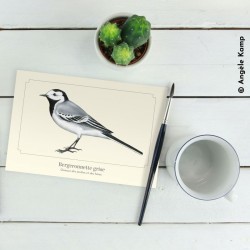 Bergeronnette grise - Carte postale illustrée