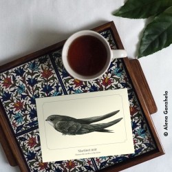 Martinet noir - Carte postale illustrée