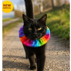 Collerette Birdsbesafe - Rainbow Charlie