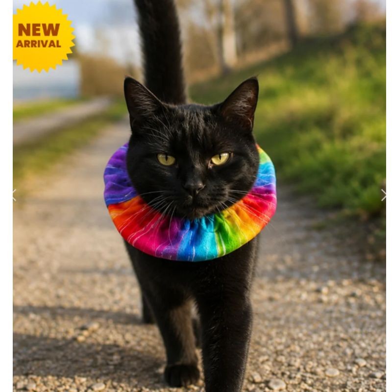 Collerette Birdsbesafe - Rainbow Charlie