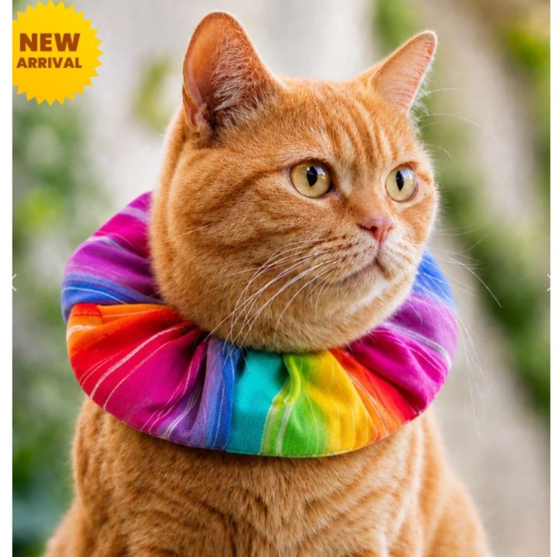 Collerette Birdsbesafe - Rainbow Charlie