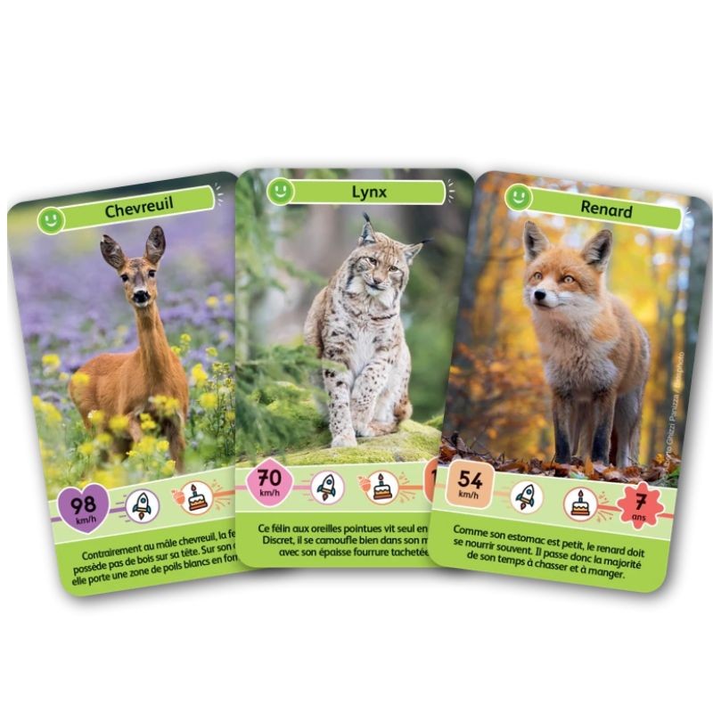 Jeu Défis Nature Junior - Animaux de la forêt