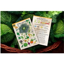 Coffret Le petit potageur - Planificateur de potager malin et astucieux