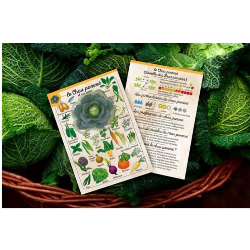 Coffret Le petit potageur - Planificateur de potager malin et astucieux