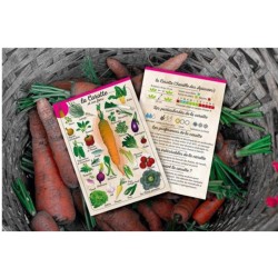 Coffret Le petit potageur - Planificateur de potager malin et astucieux