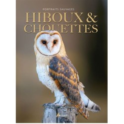 Hiboux & chouettes