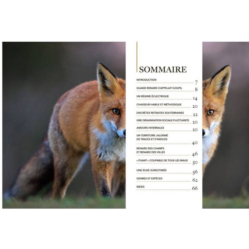 Renard