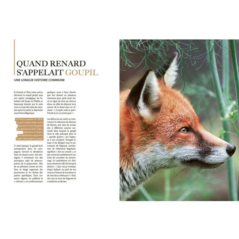 Renard
