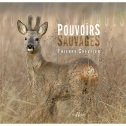 Pouvoirs sauvages