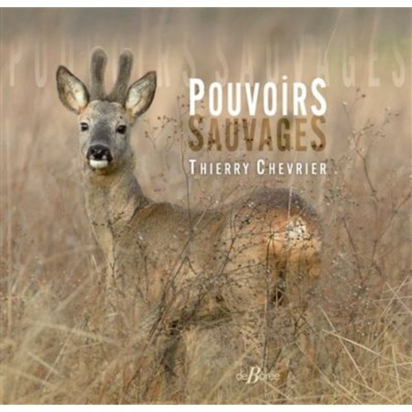 Pouvoirs sauvages
