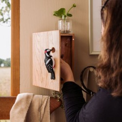 DecoBird Armoire à clés Pic épeiche