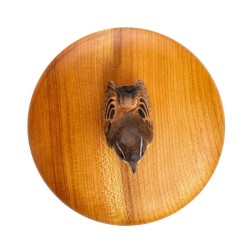 DecoBird Boîte en bois Troglodyte