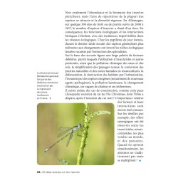 50 idées fausses sur les insectes