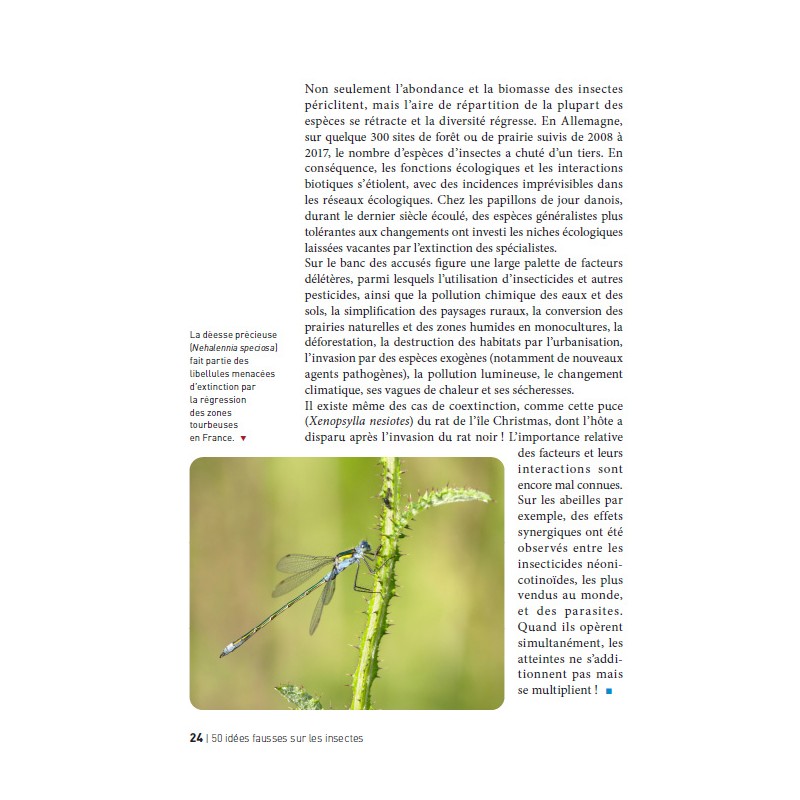 50 idées fausses sur les insectes