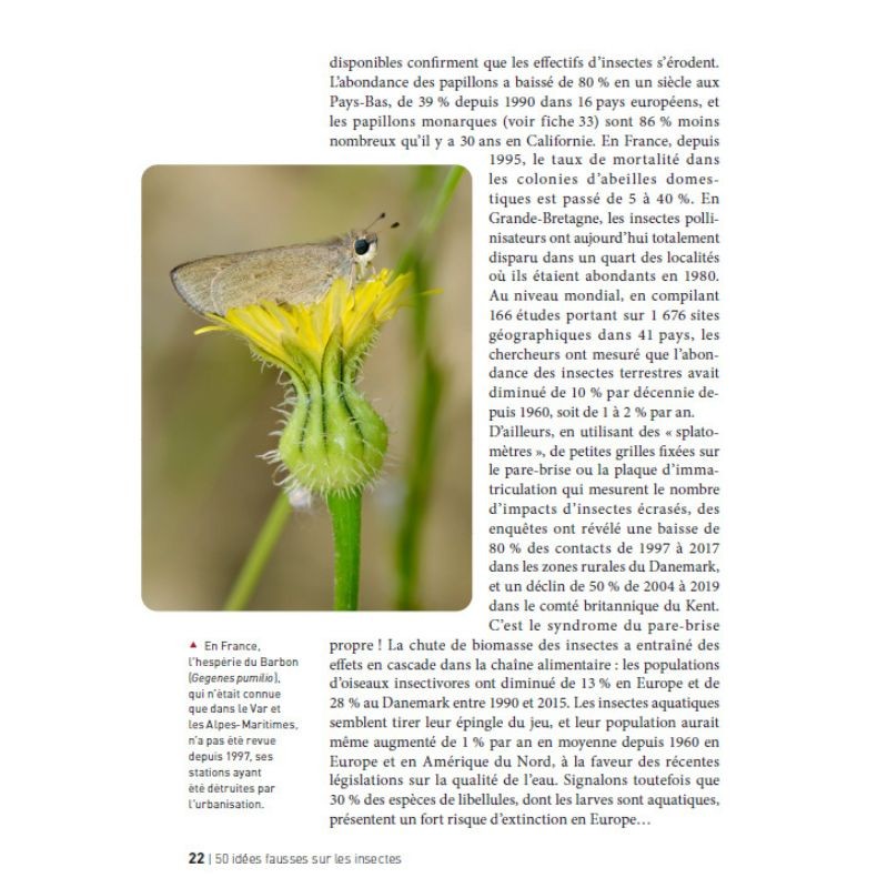 50 idées fausses sur les insectes