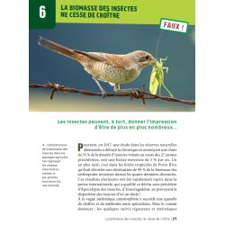 50 idées fausses sur les insectes