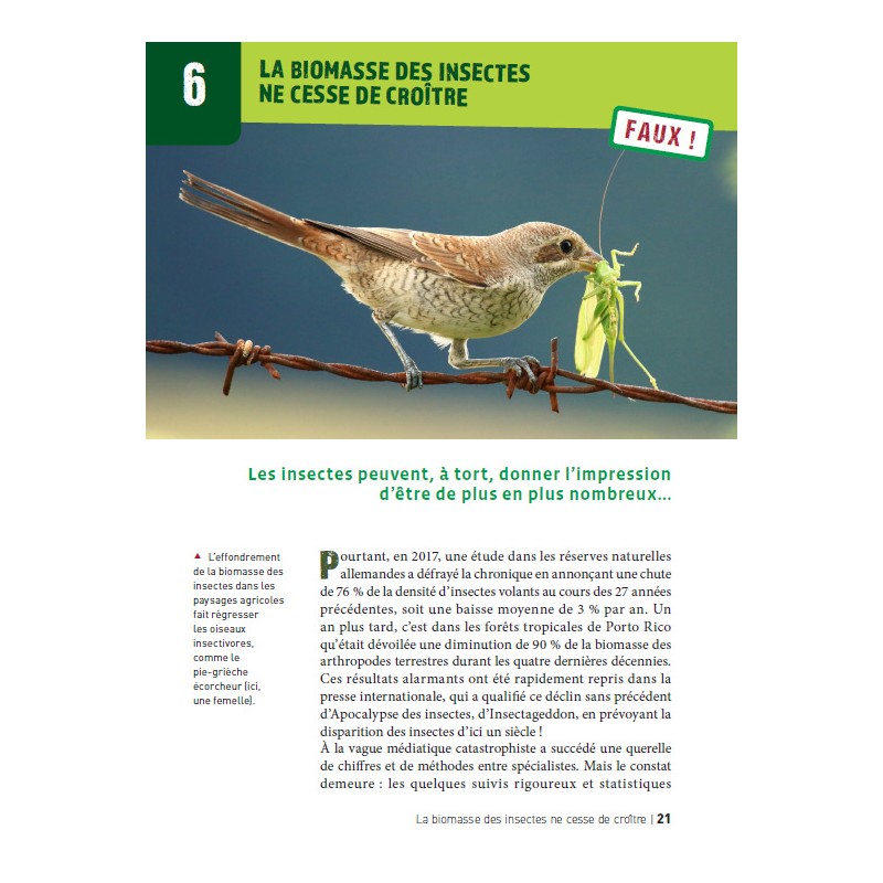 50 idées fausses sur les insectes