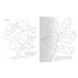 Arbres de nos forêts - Un cahier de coloriage engagé