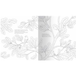Arbres de nos forêts - Un cahier de coloriage engagé