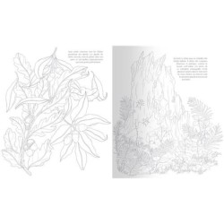 Arbres de nos forêts - Un cahier de coloriage engagé