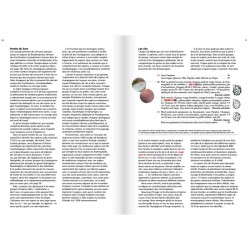 Les champignons d'Europe tempérée - Clé des Basidiomycètes - Tome 3