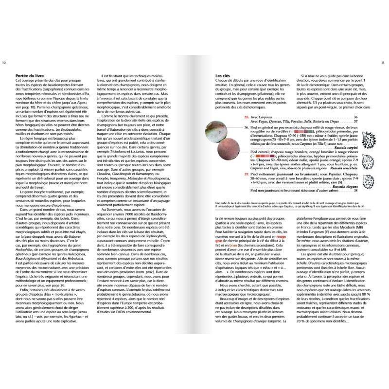 Les champignons d'Europe tempérée - Clé des Basidiomycètes - Tome 3