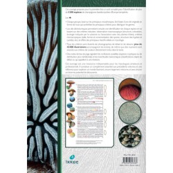 Les champignons d'Europe tempérée - Clé des Basidiomycètes - Tome 3