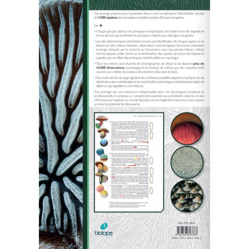Les champignons d'Europe tempérée - Clé des Basidiomycètes - Tome 3