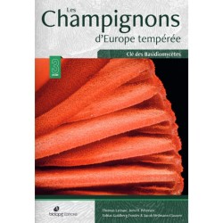 Les champignons d'Europe tempérée - Clé des Basidiomycètes - Tome 3