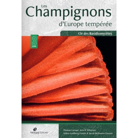 Les champignons d'Europe tempérée - Clé des Basidiomycètes - Tome 3