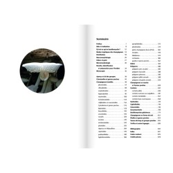 Les champignons d'Europe tempérée - Clé des Basidiomycètes - Tome 3