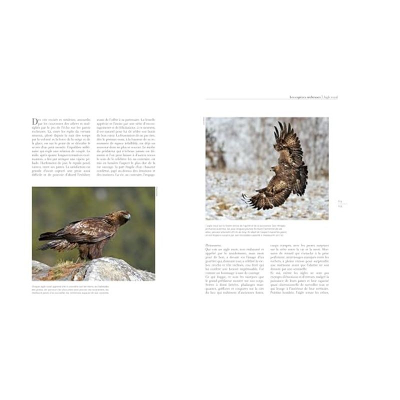 Les rapaces d'Europe - Tome 1: rapaces diurnes